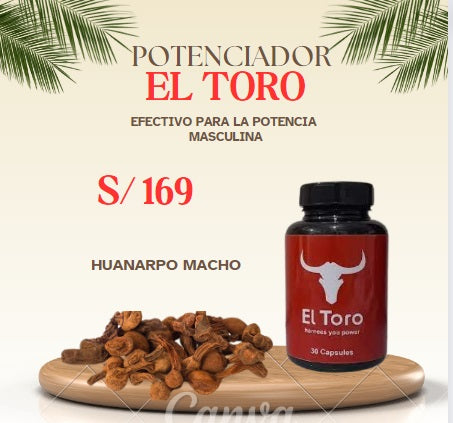 EL TORO